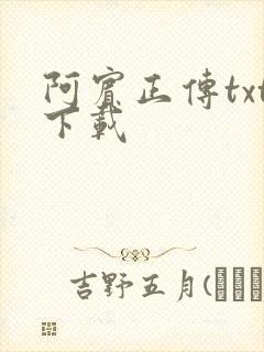 阿宾正传txt下载封面