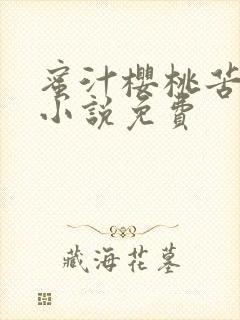 蜜汁樱桃苦咖啡小说免费封面