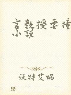 言教授要撞坏了小说
