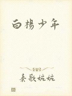 白杨少年封面