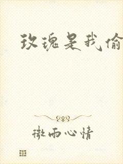 玫瑰是我偷的