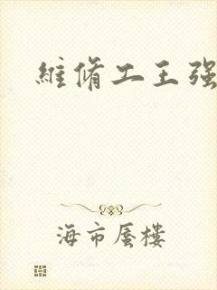 维修工王强张婷