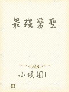 最强医圣