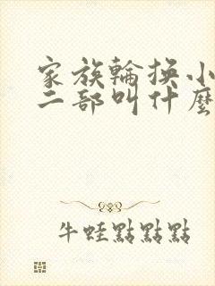 家族轮换小说第二部叫什么名字