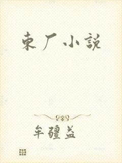 东厂小说封面