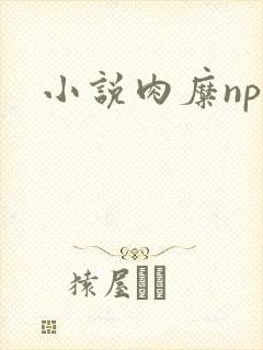 小说肉糜np