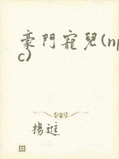豪门宠儿(npc)