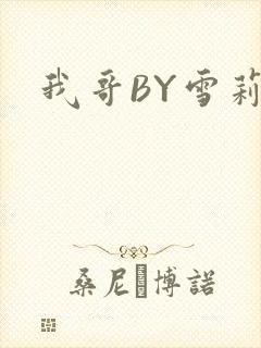 我哥BY雪莉封面