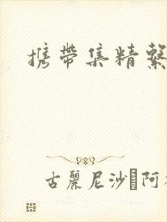 携带集精系统封面