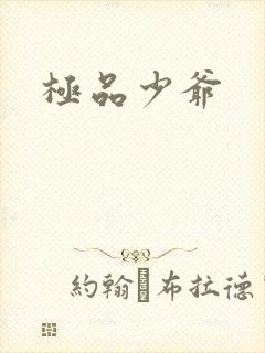 极品少爷