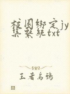 校园绑定jy收集系统txt封面