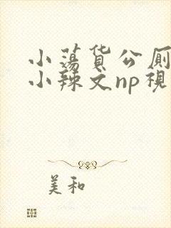 小荡货公厕h文小辣文np视频