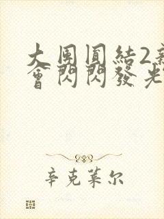 大团圆结2亲情会闪闪发光目录