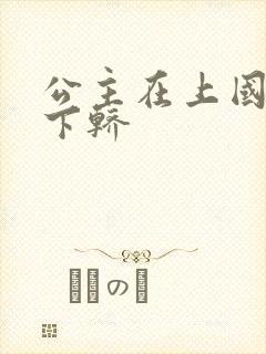 公主在上国师请下轿