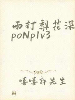 雨打梨花深闭门poNp1v3封面
