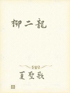 柳二龙封面