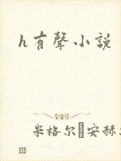 h有声小说