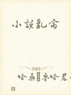 小说乱仑封面