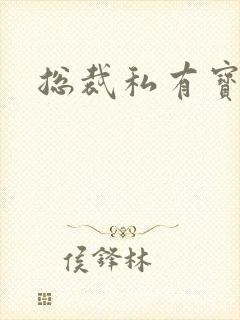 总裁私有宝贝