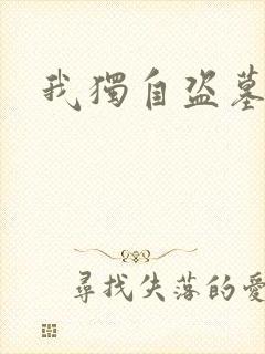我独自盗墓封面