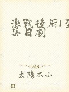 激战后厨1至5集日剧