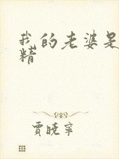 我的老婆是狐狸精封面