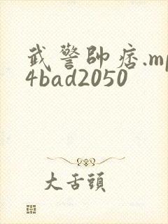 武警帅痞.mp4bad2050