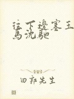 往下边塞玉器骑马沈驰封面