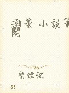 潮晕 小说笔趣阁封面
