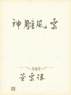 神雕风云封面
