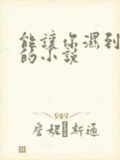 能让你湿到不行的小说
