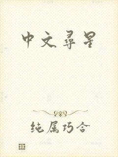 中文寻星