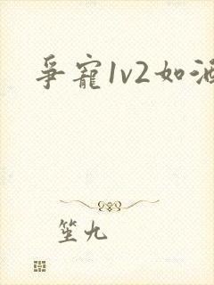 争宠1v2如酒封面