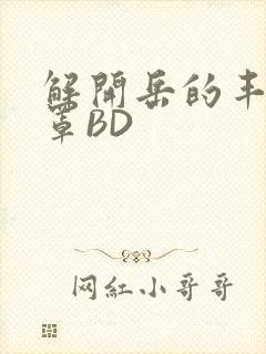 解开岳的丰满奶罩BD