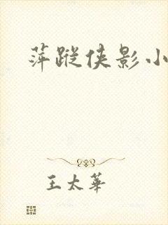 萍踪侠影小说
