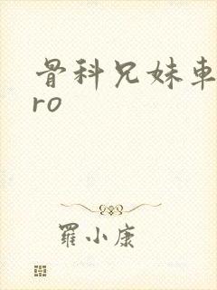 骨科兄妹车多pro
