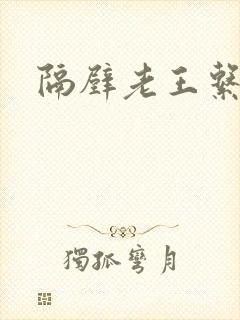 隔壁老王系统