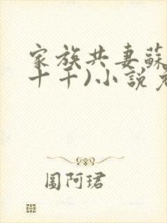 家族共妻苏苏(十千)小说免费