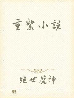 重紫小说