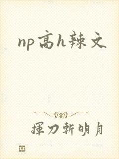 np高h辣文