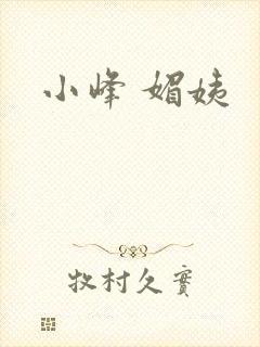 小峰 媚姨封面