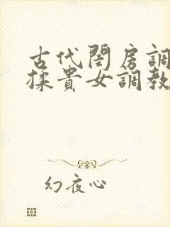 古代闺房调教h揉贵女调教记