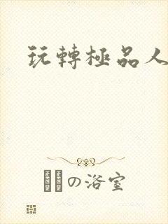 玩转极品人生