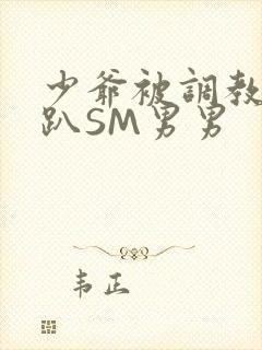 少爷被调教室跪趴SM男男