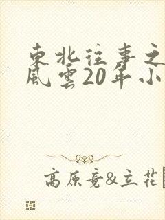东北往事之黑道风云20年小说