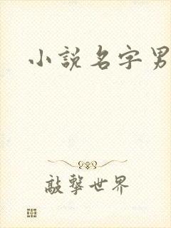 小说名字男生封面