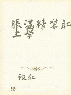 胀满精装肚子去上学封面