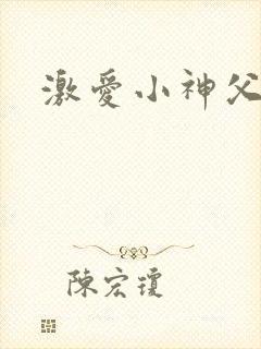 激爱小神父