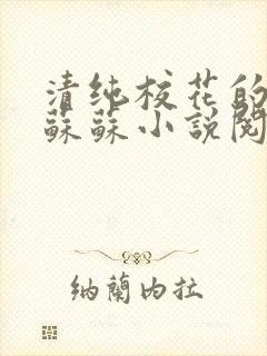 清纯校花的日常苏苏小说阅读全文