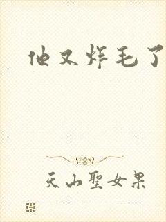 他又炸毛了